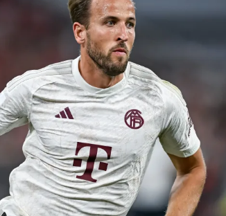 但因二次落 但因二次落